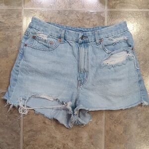 Western Festival AE Denim Shorts Curvy 90's Boyfriend Short Granola Girl